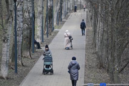 Горожане гуляют в парке