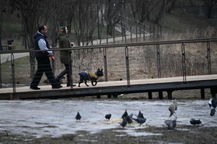 Горожане гуляют в парке