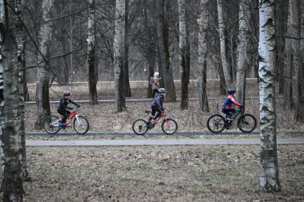 Горожане гуляют в парке