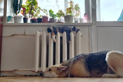 Повседневное