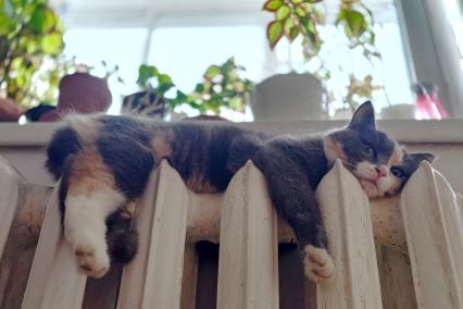 Повседневное