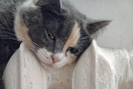 Повседневное