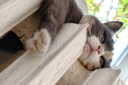 Повседневное