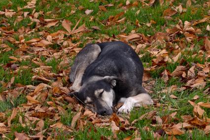 Повседневное