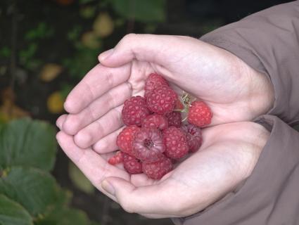 Повседневное