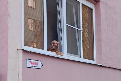 Повседневное