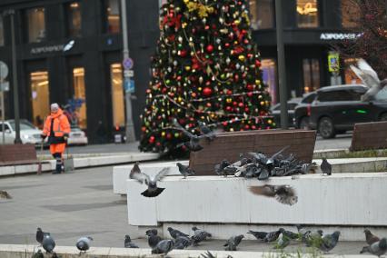 Предновогодняя Москва