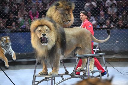 Открытая репетиция в Большом Московском цирке