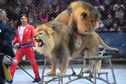 Открытая репетиция в Большом Московском цирке