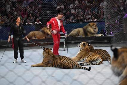 Открытая репетиция в Большом Московском цирке