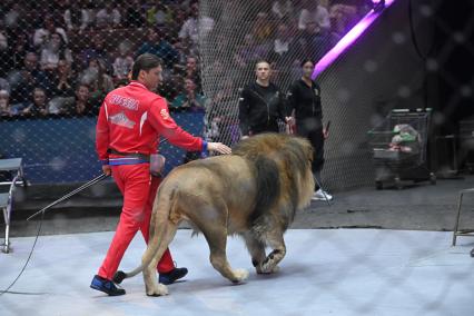 Открытая репетиция в Большом Московском цирке