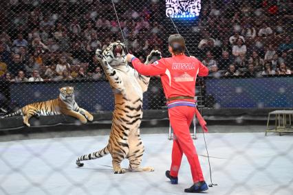 Открытая репетиция в Большом Московском цирке