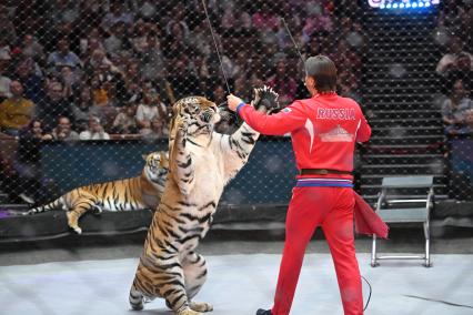 Открытая репетиция в Большом Московском цирке