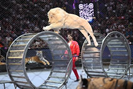 Открытая репетиция в Большом Московском цирке