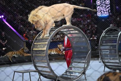 Открытая репетиция в Большом Московском цирке