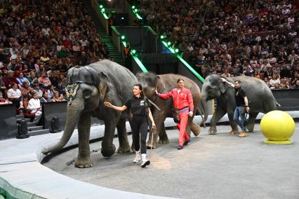 Открытая репетиция в Большом Московском цирке