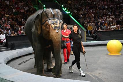 Открытая репетиция в Большом Московском цирке