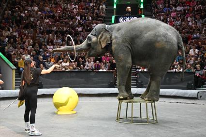 Открытая репетиция в Большом Московском цирке