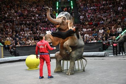 Открытая репетиция в Большом Московском цирке