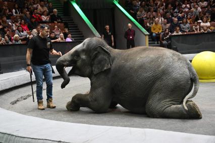 Открытая репетиция в Большом Московском цирке