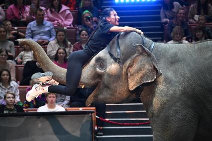 Открытая репетиция в Большом Московском цирке