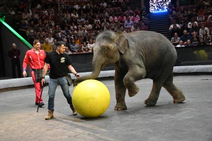 Открытая репетиция в Большом Московском цирке
