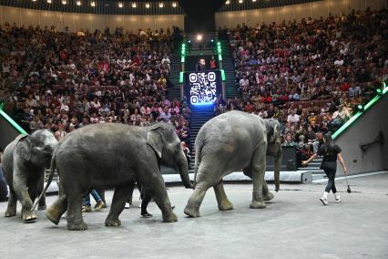 Открытая репетиция в Большом Московском цирке