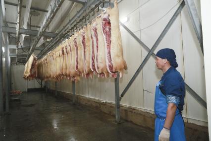 Мясокомбинат