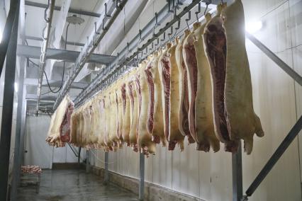 Мясокомбинат