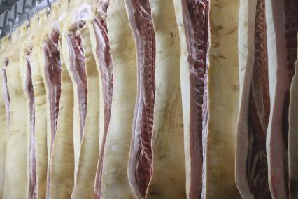 Мясокомбинат