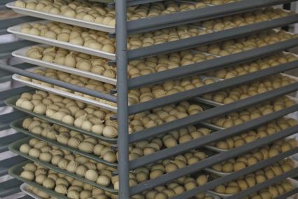 Мясокомбинат