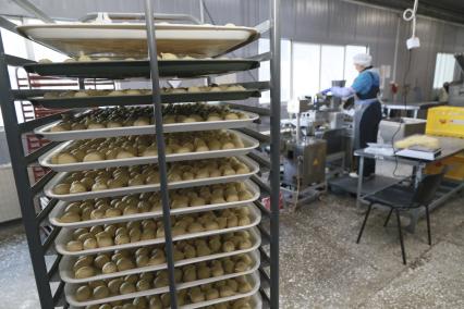 Мясокомбинат