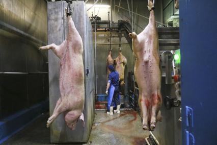 Мясокомбинат