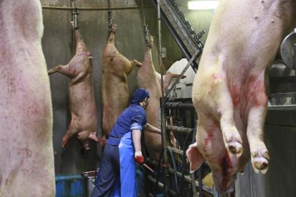 Мясокомбинат