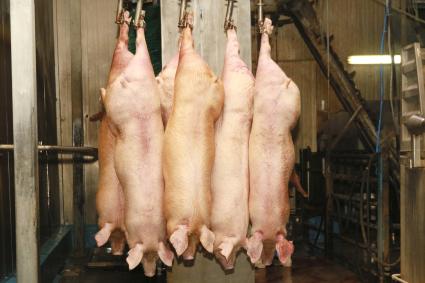 Мясокомбинат