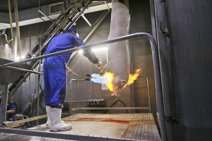 Мясокомбинат