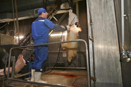 Мясокомбинат