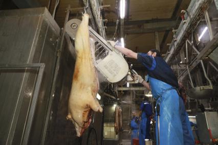 Мясокомбинат