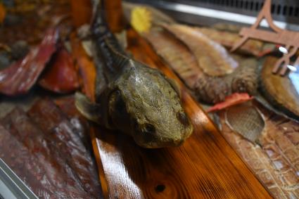 XIII Межрегиональная агропромышленная выставка \"Агропром Урал\"