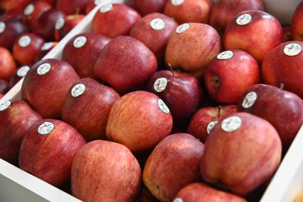 XIII Межрегиональная агропромышленная выставка \"Агропром Урал\"