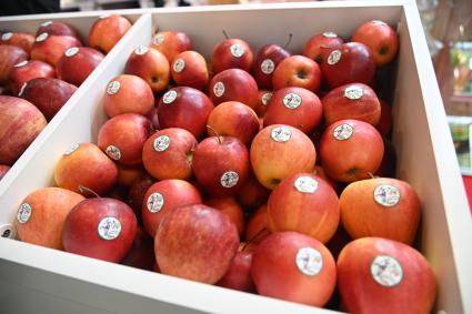 XIII Межрегиональная агропромышленная выставка \"Агропром Урал\"