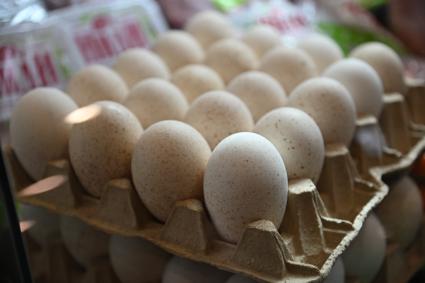 XIII Межрегиональная агропромышленная выставка \"Агропром Урал\"