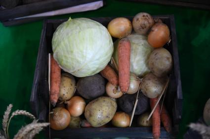 XIII Межрегиональная агропромышленная выставка \"Агропром Урал\"