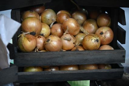 XIII Межрегиональная агропромышленная выставка \"Агропром Урал\"