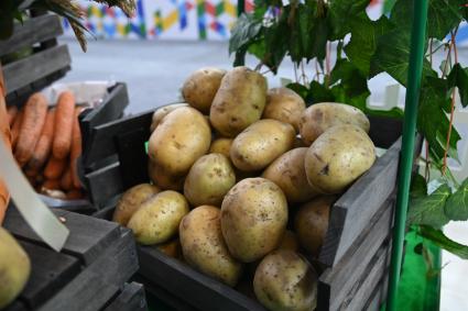 XIII Межрегиональная агропромышленная выставка \"Агропром Урал\"