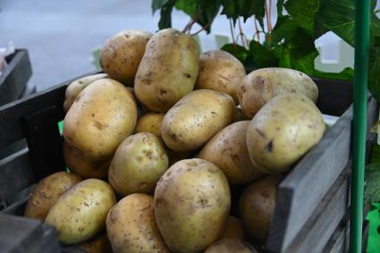 XIII Межрегиональная агропромышленная выставка \"Агропром Урал\"