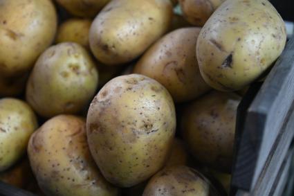 XIII Межрегиональная агропромышленная выставка \"Агропром Урал\"