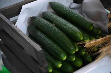 XIII Межрегиональная агропромышленная выставка \"Агропром Урал\"