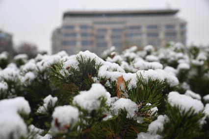 Первый снег в Москве