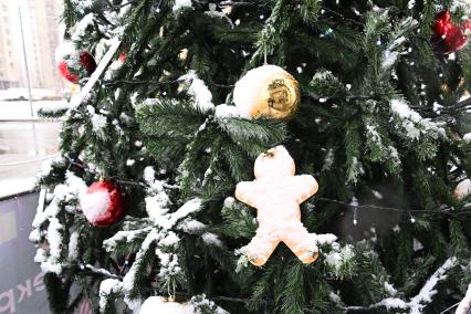 Первый снег в Москве